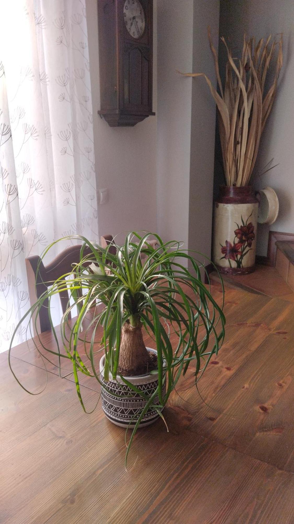 El Balcon De Villapresente Экстерьер фото